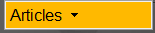 bouton "articles"